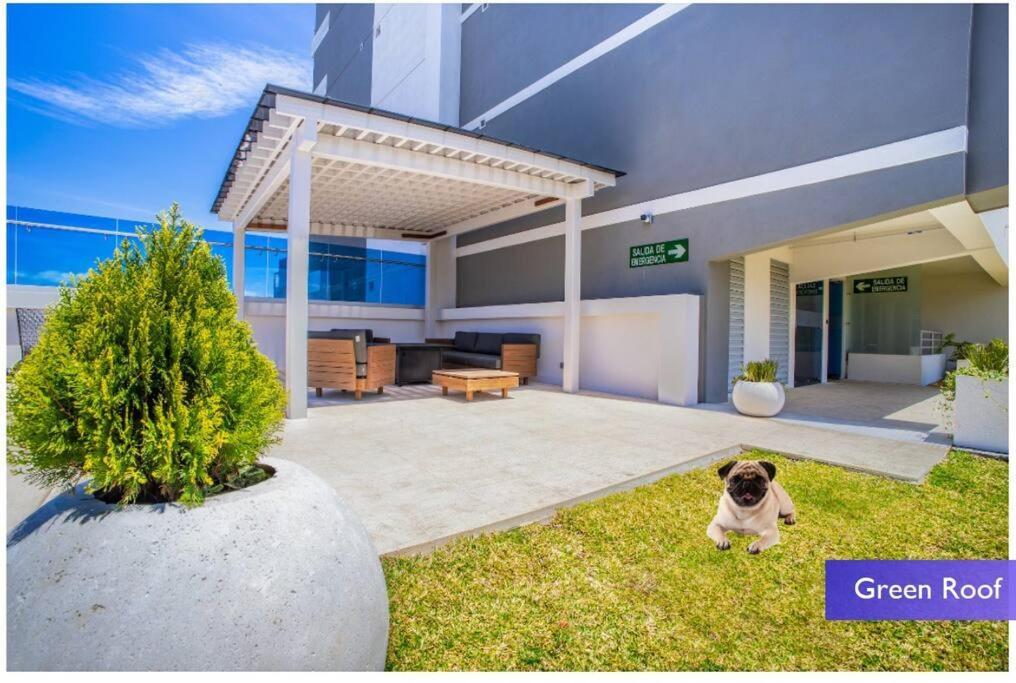 1102 Torre Los Yoses Hermoso Apartamento En Barrio Escalante Sin Parqueo San Jose  Exterior photo